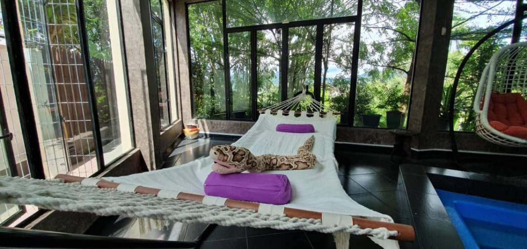 Zoo Villa With Private Pool @ Ampang Kl 외부 사진